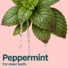 Fluoride-free Toothpaste